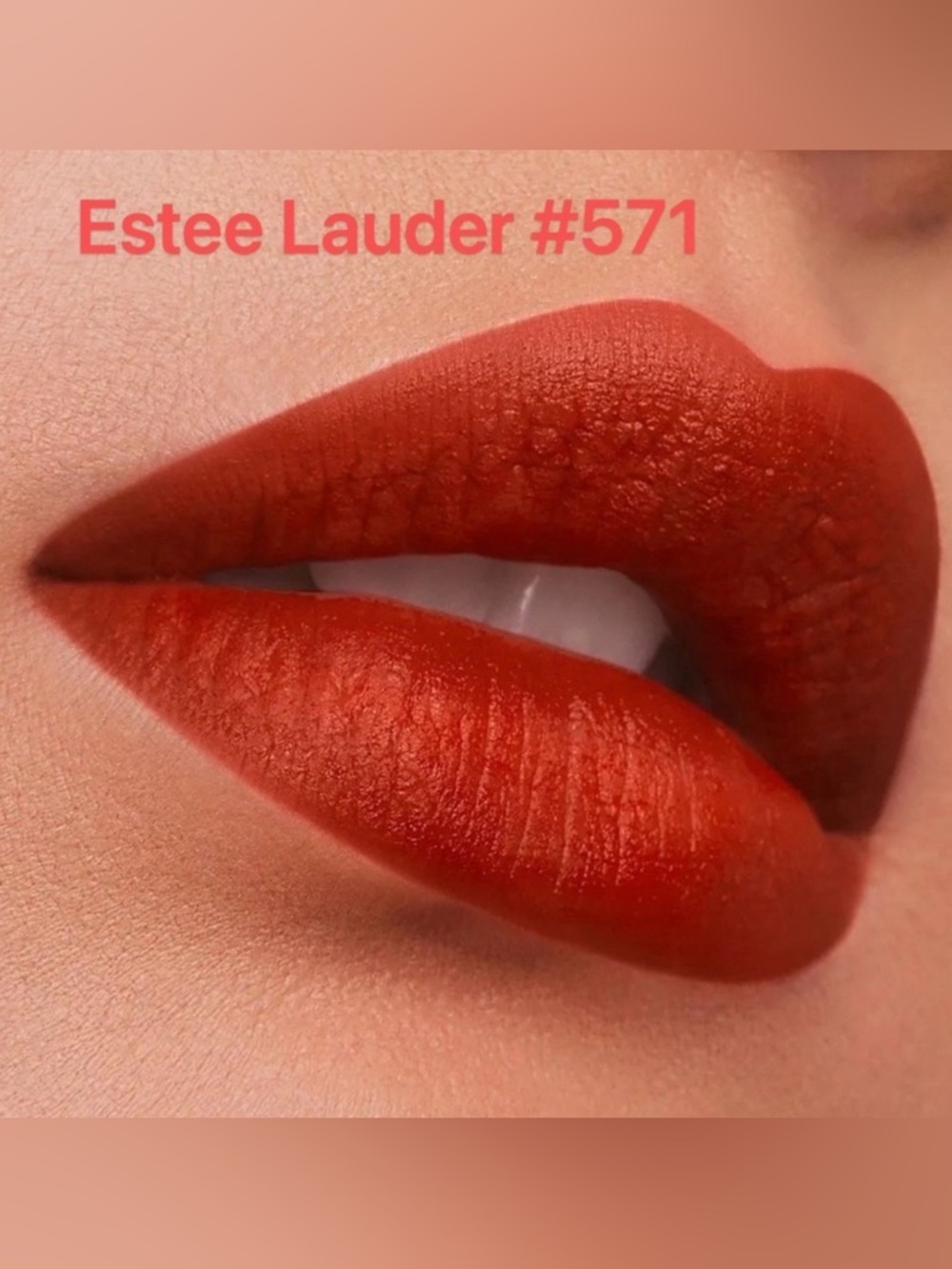 NIB💗🆕Estee Lauder pure color lipstick matte 3.5g 571 Independent